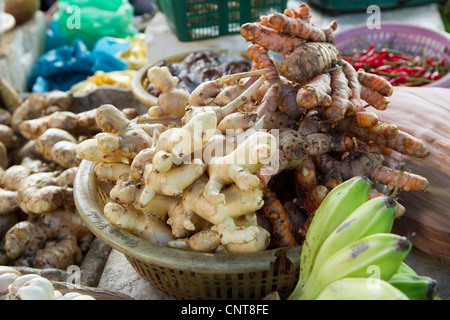 Sorten von Ingwer Wurzeln am Marktstand Stockfoto