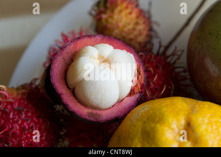 Halbierte Mangostan und andere tropische Früchte Stockfoto