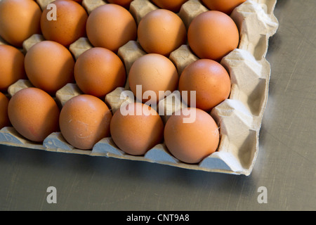 Frischeier in Karton Stockfoto