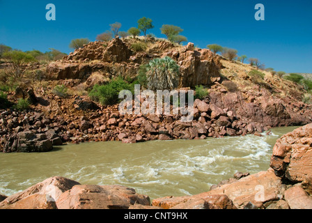 Fluss Kunene, der Grenze zu Angola, Namibia Stockfoto