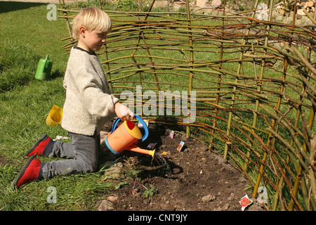 kleiner Junge Bewässerung Gemüse gesät auf seinen eigenen Gemüsegarten, Deutschland Stockfoto