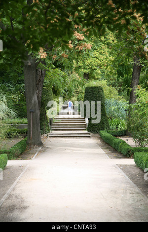 Botanischen Garten in Madrid Spanien Stockfoto