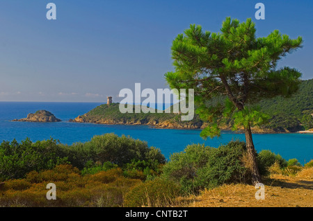 alten Turm "Torra di Fautea" in Fautea Bay, Überbleibsel der genuesischen Besetzung der Insel, Frankreich, Corse-du-Sud, Zonza Stockfoto