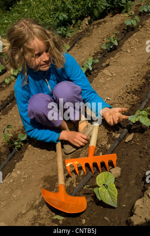 8 Jahre altes Mädchen Gartenarbeit, Pflanzen Kürbisse, Frankreich Stockfoto