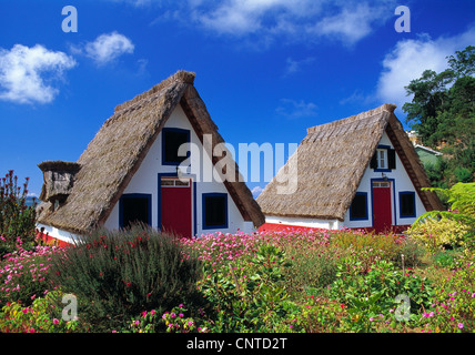 Casas de Colmo in Santana, Madeira, Portugal, Europa Stockfoto