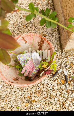 Gartenhandschuhe in Eimer im freien Stockfoto
