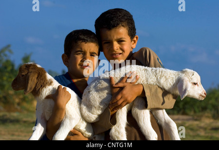 Hausschaf (Ovis Ammon F. Aries), zwei jungen mit Lämmer auf dem Arm, Tunesien Stockfoto
