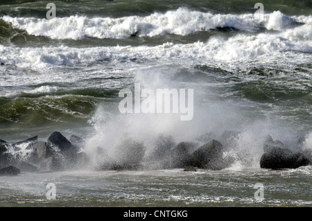 Wellenbrecher in der stürmischen Ostsee, Deutschland, Mecklenburg Vorpommern Stockfoto