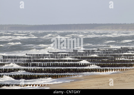 Sporn Deich an der Ostsee, Deutschland, Mecklenburg Vorpommern Stockfoto