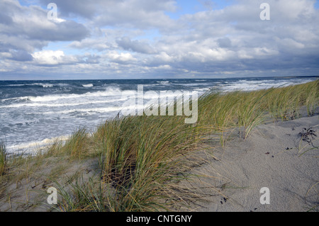 Blick über eine Düne auf das offene Meer, Deutschland, Mecklenburg Vorpommern, Western Region Nationalpark Vorpommersche Stockfoto