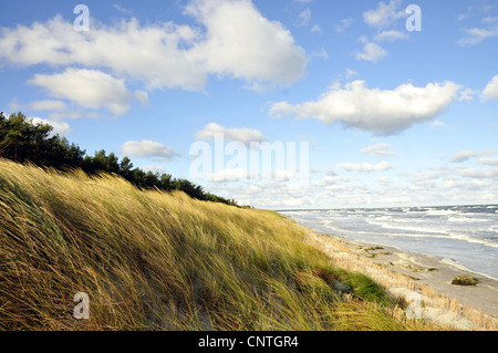 Blick über eine Düne auf das offene Meer, Deutschland, Mecklenburg Vorpommern, Western Region Nationalpark Vorpommersche Stockfoto