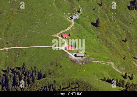 Almen am Wendelstein, Deutschland, Bayern Stockfoto