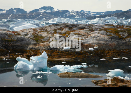 Blick zum Sermilik Fjord, Grönland, Ammassalik, Ostgrönland, Tiniteqilaq Stockfoto