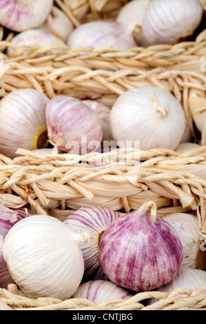 Wilder Lauch, Elefant Knoblauch (Allium Ampeloprasum), Elefant Knoblauch in Körben Stockfoto