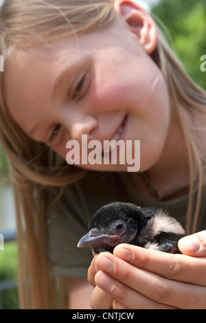 Schwarz-billed Elster (Pica Pica), Mädchen mit einem Jugendlichen in ihren Händen, Deutschland Stockfoto