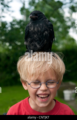 AAS-Krähe (Corvus Corone), kleines Mädchen mit einem zahmen jungen Vogel sitzt auf dem Kopf Stockfoto