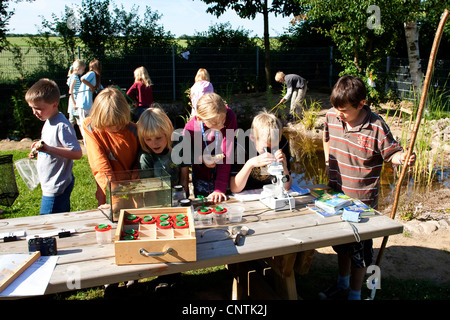 Grundschüler, die Tiere in einem Aquarium und unter dem Mikroskop beobachten gefangen im selbstgebauten Teich im Garten Schule Stockfoto