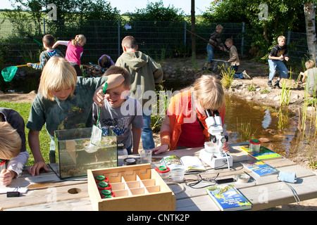 Grundschüler, die Tiere in einem Aquarium und unter dem Mikroskop beobachten gefangen im selbstgebauten Teich im Garten Schule Stockfoto