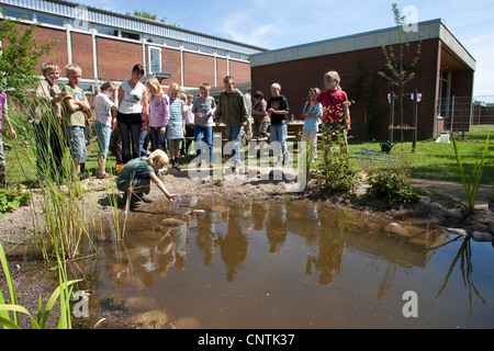 Grundschüler Fang von Tieren im selbstgebauten Teich im Garten Schule Stockfoto