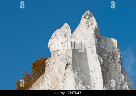 Kreidefelsen auf der Insel Moen, Dänemark, Moen Stockfoto