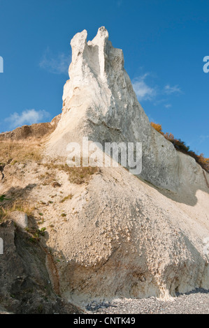 Kreidefelsen auf der Insel Moen, Dänemark, Moen Stockfoto