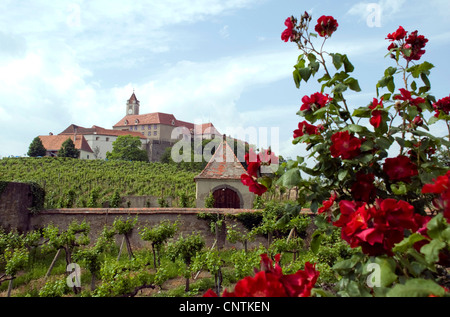 Castel der Rieger, Riegersburg, Österreich, Steiermark, Riegersburg Stockfoto