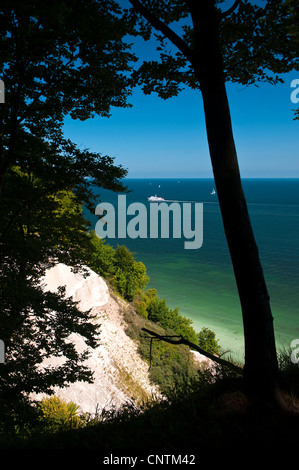 sehen Sie sich auf den Kreidefelsen, Nationalpark Jasmund, Rügen, Mecklenburg-Vorpommern, Deutschland Stockfoto