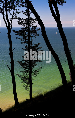 Blick von den Kreidefelsen am Meer, Nationalpark Jasmund, Rügen, Mecklenburg-Vorpommern, Deutschland Stockfoto