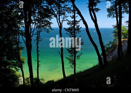 Blick von den Kreidefelsen am Meer, Nationalpark Jasmund, Rügen, Mecklenburg-Vorpommern, Deutschland Stockfoto