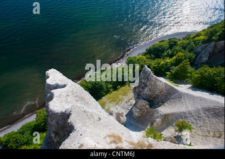 Kreidefelsen im Nationalpark Jasmund, Deutschland, Mecklenburg-Vorpommern, Nationalpark Jasmund, Rügen Stockfoto