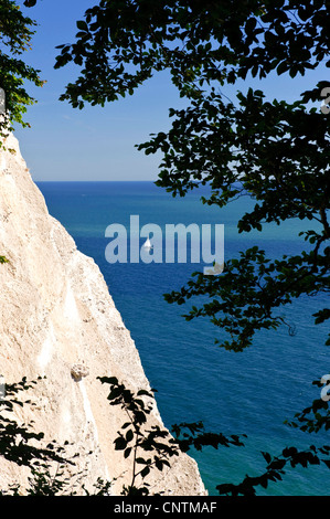 Kreidefelsen im Nationalpark Jasmund mit Segelboot auf der Ostsee, Deutschland, Mecklenburg-Vorpommern, Nationalpark Jasmund, Rügen Stockfoto