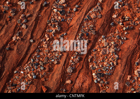 Sandstein, Detail. Steinchen auf großen Sandstein, USA, Arizona, Coyote Buttes North Stockfoto