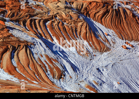 Sandstein, detail, USA, Arizona, Coyote Buttes North Stockfoto