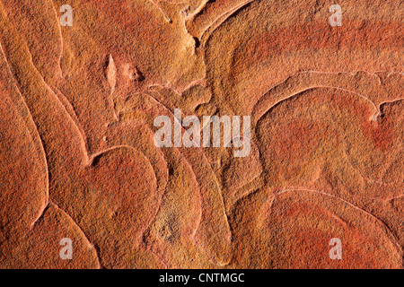 Sandstein, detail, USA, Arizona, Coyote Buttes North Stockfoto