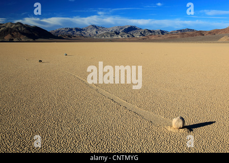 Die gleitenden Felsen von Racetrack Playa, USA, Kalifornien, Death Valley Nationalpark Stockfoto