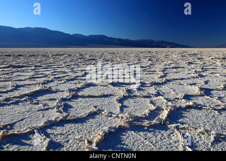 Badwater Salinen, USA, Kalifornien, Death Valley Nationalpark Stockfoto