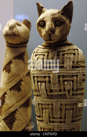 Mumie einer Katze. Nach 30 BC. Römischer Zeit. Vielleicht 1. Jahrhundert n. Chr. Aus Abydos. British Museum. London. Vereinigtes Königreich. Stockfoto