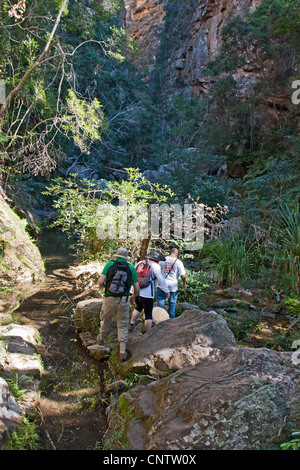 Touristen und Führer in den Canyon des Makis, einer grünen Schlucht in den normalerweise trockenen Isalo Nationalpark, Madagaskar. Stockfoto