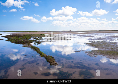 Weiße Sommerwolken in einem tiefblauen Himmel reflektieren in einem küstennahen Pool am Strand von Titchwell an der Nordküste Norfolk Stockfoto