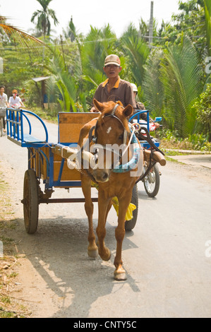 Vertikale Sicht auf ein Pony und Wagen entlang einer Landstraße in Vietnam reisen. Stockfoto