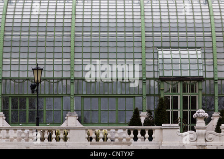 Ein Haus für den Anbau von Palmen im Zentrum von Wien Stockfoto