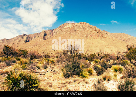 Wüstenlandschaft von Guadalupe Mountains Nationalpark, Texas. Stockfoto