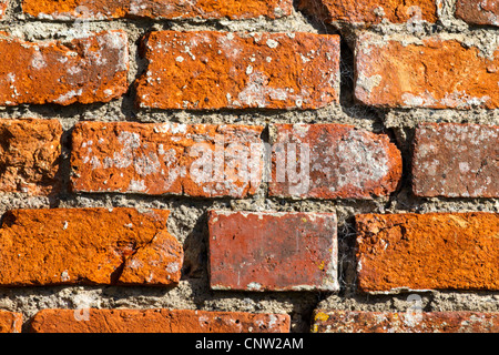 Alte Mauer mit dem Mauerwerk in einem Rechen Mönch Anleihe Muster Stockfoto
