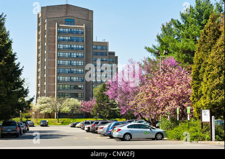 Hofstra University Campus allgemeine Parkplatz und Schlafsaal aufbauend, Hempstead, New York, USA, 19. April 2012 Stockfoto