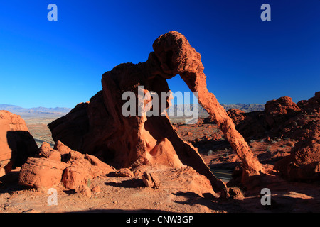 Elephant Rock, Sandstein geformt durch Wind und Wasser, USA, Nevada, Valley of Fire State Park Stockfoto