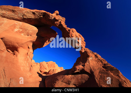 Elephant Rock; Sandstein geformt durch Wind und Wasser, USA, Nevada, Valley of Fire State Park Stockfoto