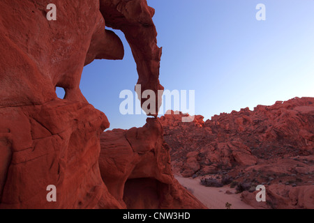 Elephant Rock; Sandstein geformt durch Wind und Wasser, USA, Nevada, Valley of Fire State Park Stockfoto