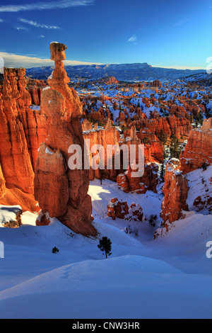 Bryce Canyon im Winter; Blick vom Sunset Point, Hoodoos, USA, Utah, Bryce-Canyon-Nationalpark Stockfoto