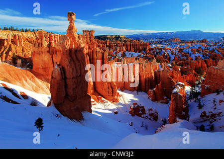 Bryce Canyon im Winter; Blick vom Sunset Point, Hoodoos, USA, Utah, Bryce-Canyon-Nationalpark Stockfoto