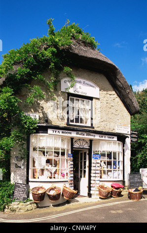 Vereinigtes Königreich, Großbritannien, England, Hampshire, Isle Of Wight, Godshill Dorf, Teestube und Souvenir-Shop-Eingang Stockfoto